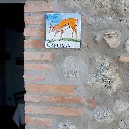 Fontesettimena Rondine- Capriolo Apartment Volterra